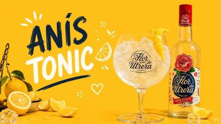 PORTADA ANISTONIC